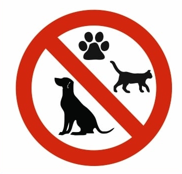 Zákaz mať so sebou zvieratá